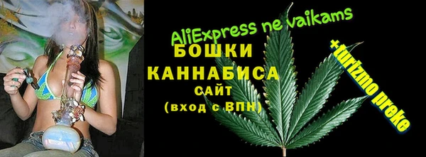 ALPHA PVP Горно-Алтайск
